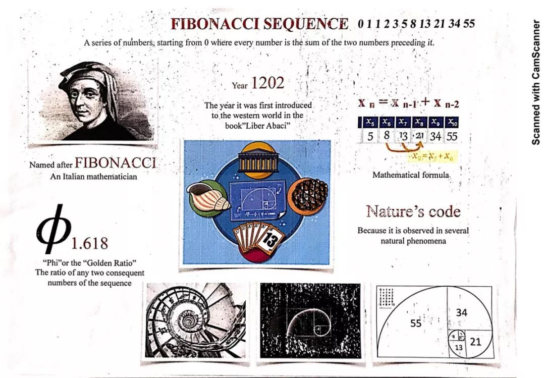 Pre-Calc-Fib-Day_20191122120549-4.jpg